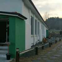 서산태안 커피 보다 맛있는 플랜테리어 / 컨츄리로드커피