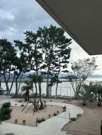 🌴🌊 거제도의 숨은 보석, 카페 씨야드(SEAYARD)