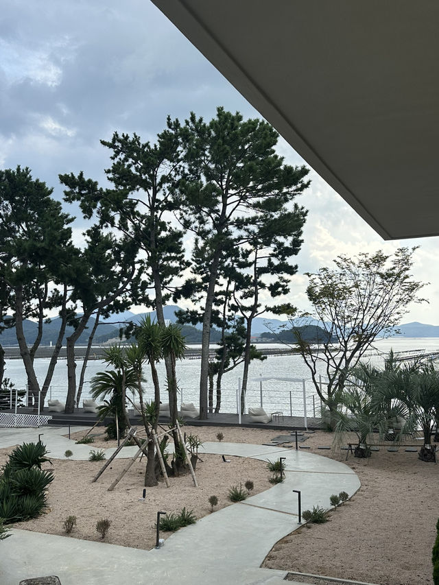 🌴🌊 거제도의 숨은 보석, 카페 씨야드(SEAYARD)