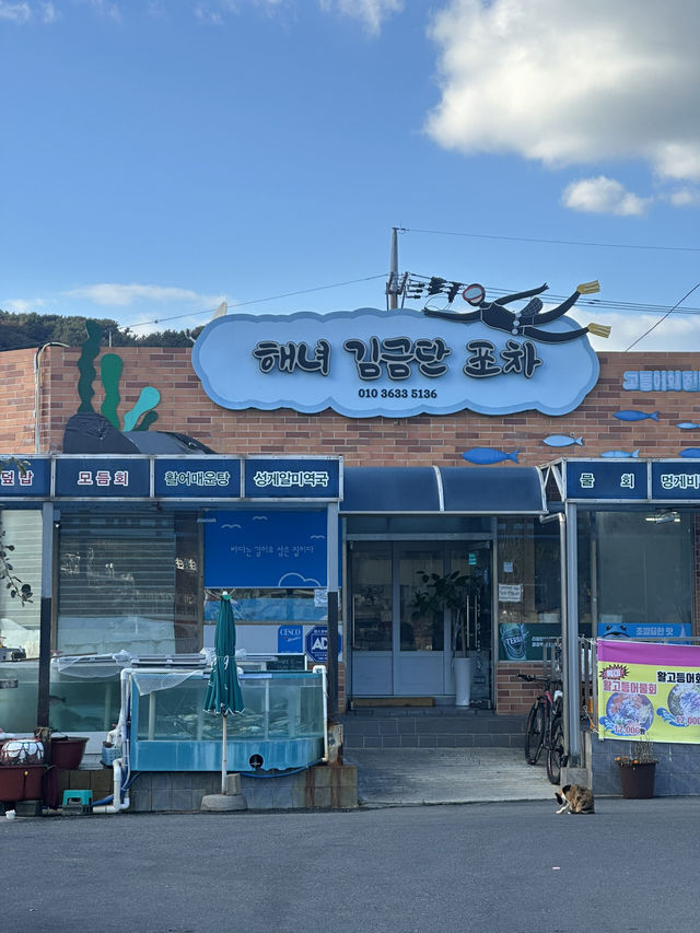 환상의 섬, 욕지도에 다녀오다! 🏝️