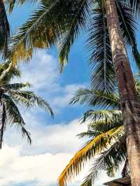 Tropical Bliss Awaits at Nusa Penida’s Crystal Bay