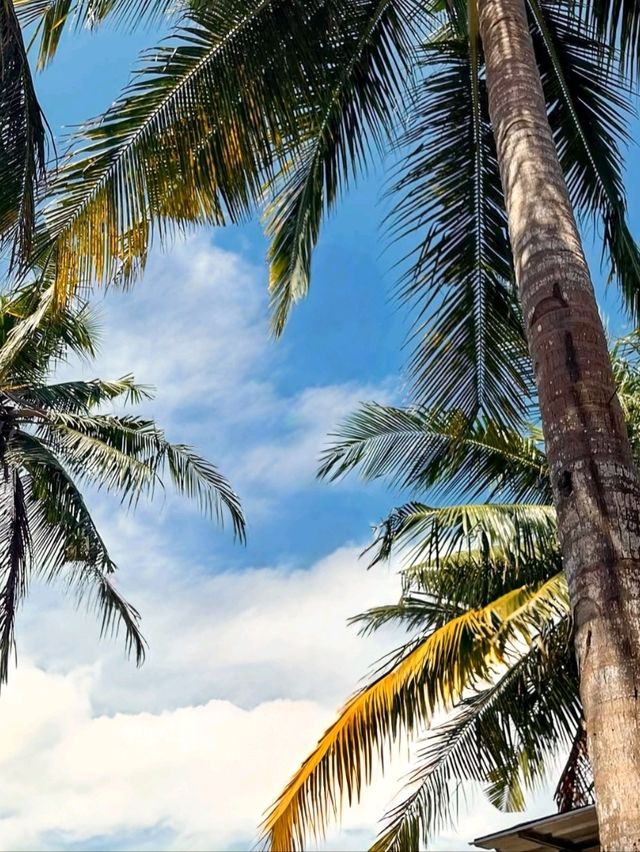 Tropical Bliss Awaits at Nusa Penida’s Crystal Bay