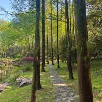 上塔悠公園🛣️城市氧吧🌳🌼