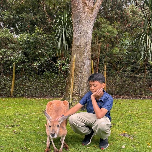 Picture perfect spots in Caversham Wildlife Park