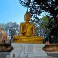 วัดโพธิ์ประทับช้าง จ.พิจิตร