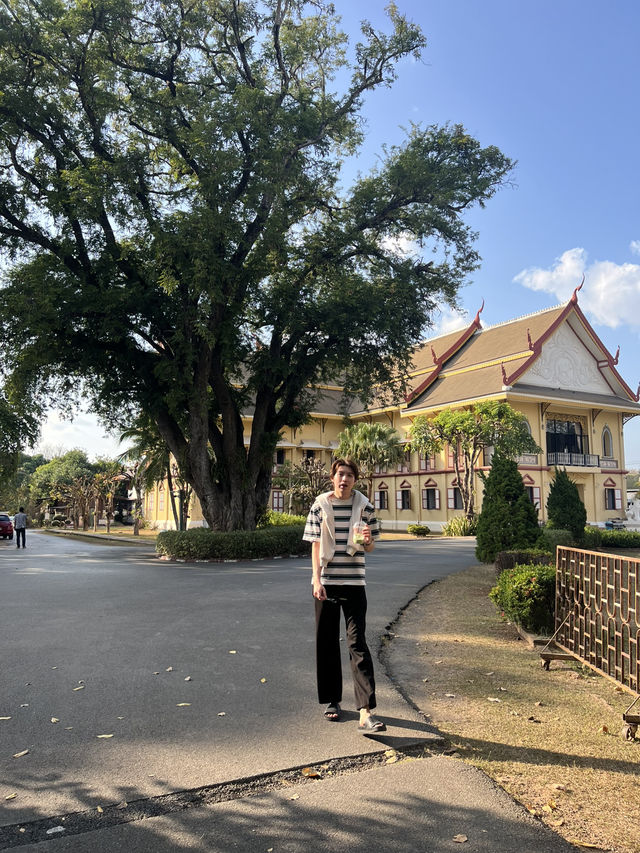 🌼พิพิธภัณฑ์ ซุ้มต้นลีลาวดีที่น่าน🏛️🍃