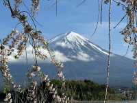 Hiking Around Lake Kawaguchiko: A Scenic Mount Fuji Escape