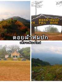 พิกัดชมทะเลยามเช้า ที่ดอยผ้าห่มปก เชียงใหม่