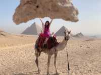 Fun Camel Ride at the Pyramids of Giza🐫