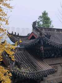 ✨Baolun temple Chongqing