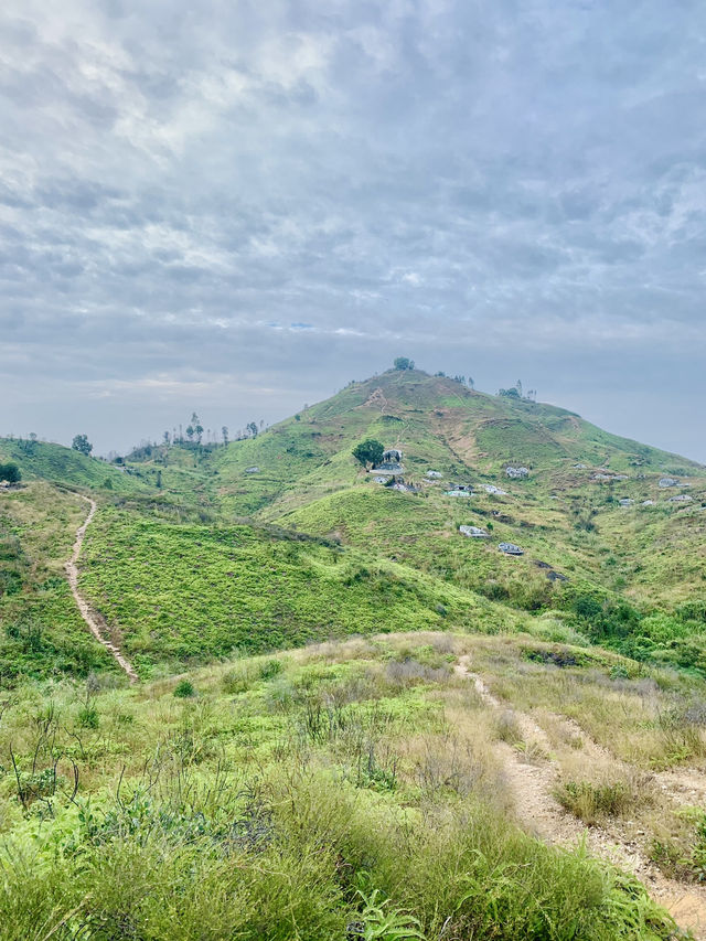 Underrated hike with wetland and Shenzhen view ❤️