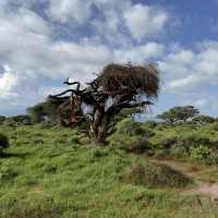 Amboseli National Park Kimana Gate 🇰🇪