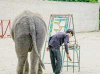 泰國最好玩嘅動物園HuaHin safari adventure zoo@Thailand 