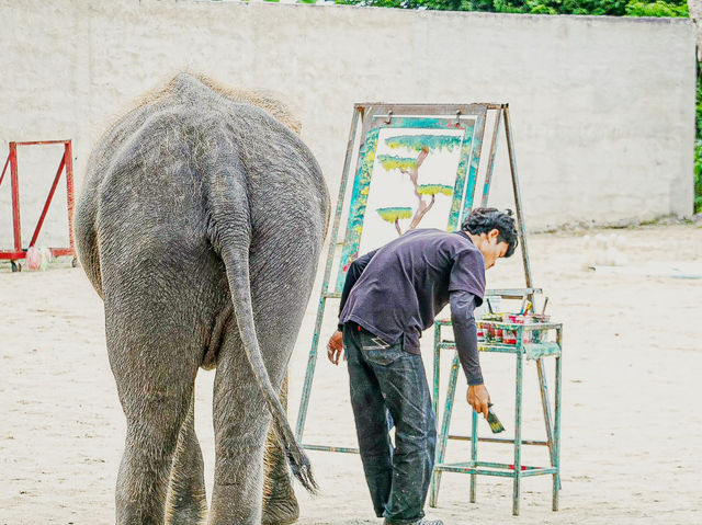 泰國最好玩嘅動物園HuaHin safari adventure zoo@Thailand 