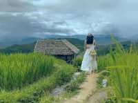 บ้านป่าบงเปียง ทุ่งนาขั้นบันไดสวยที่สุด🌾💚