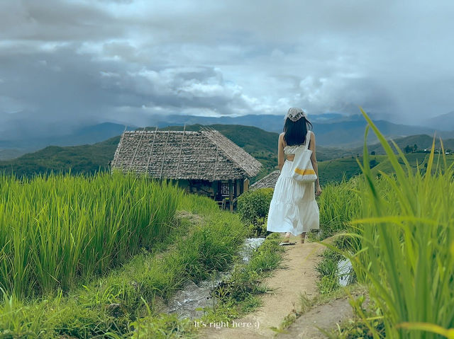 บ้านป่าบงเปียง ทุ่งนาขั้นบันไดสวยที่สุด🌾💚