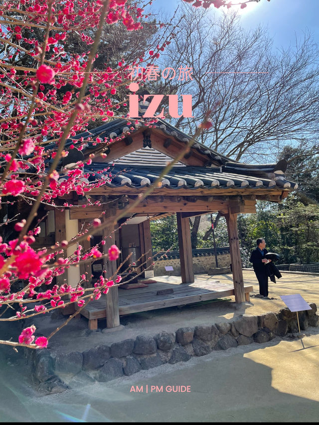 【伊豆×初春の旅】熱海で韓国？を楽しめる庭園
