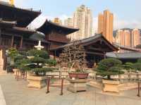 A tranquil oasis in the city