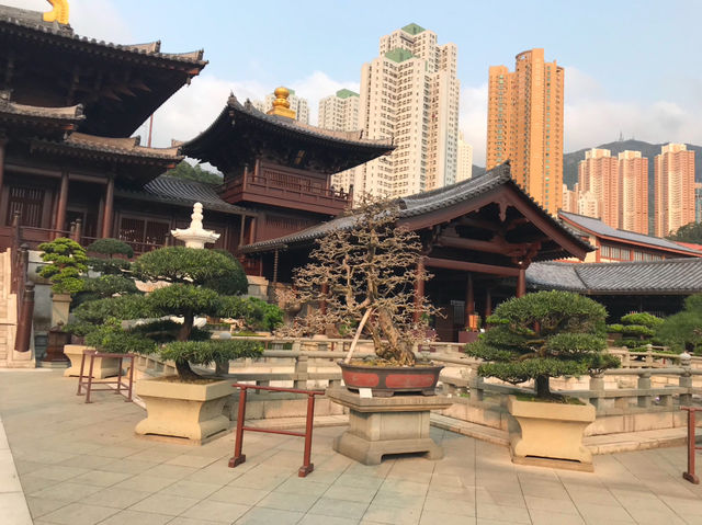 A tranquil oasis in the city