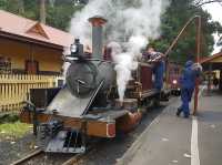 Puffing Billy 🚂 : 🇦🇺 Australia’s Iconic Steam Railway 