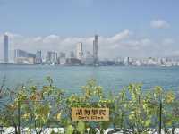 Hong Kong City Walk? Wan Chai's Waterfront Wonders