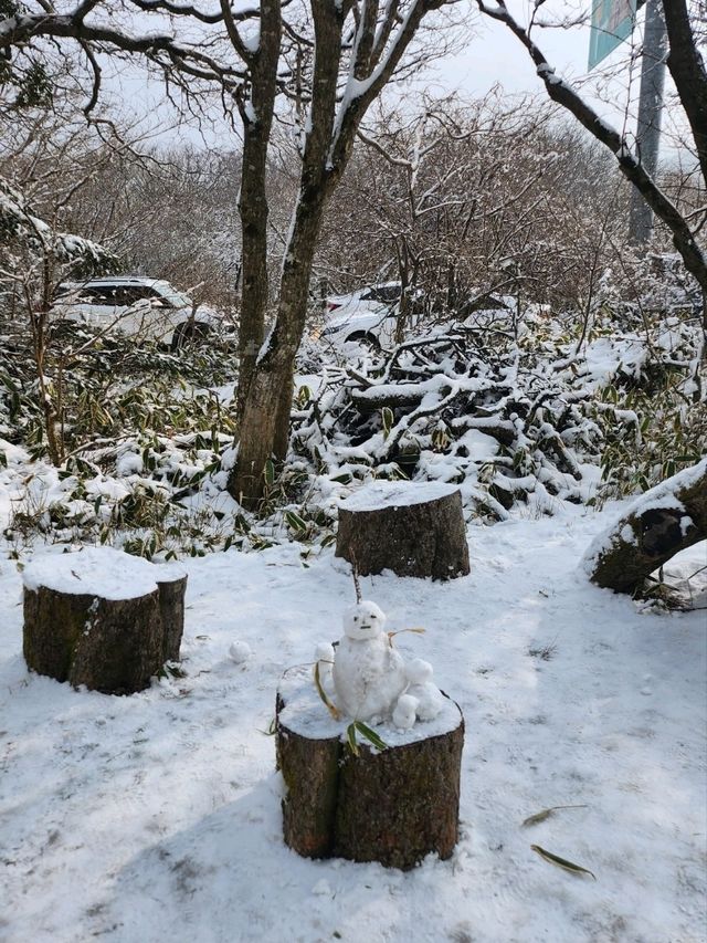 제주도에 눈이왔다면 여기로💙