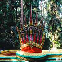คำชะโนด วังนาคินทร์