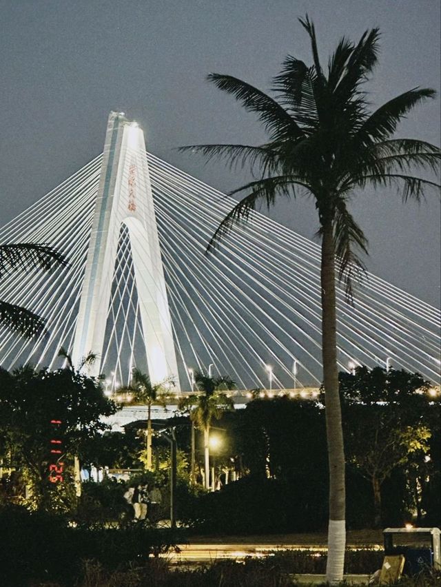 三亞市最詳細攻略：帶你探索陽光沙灘與浪漫夜景的夢幻旅程！🌴✨