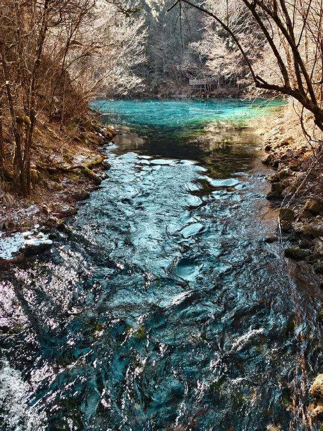 四川九寨溝‐一生人必去的旅遊勝地，打卡超出片！📷 實在是太美了🤩