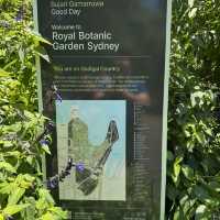 Serene Escape to the Royal Botanic Gardens Sydney
