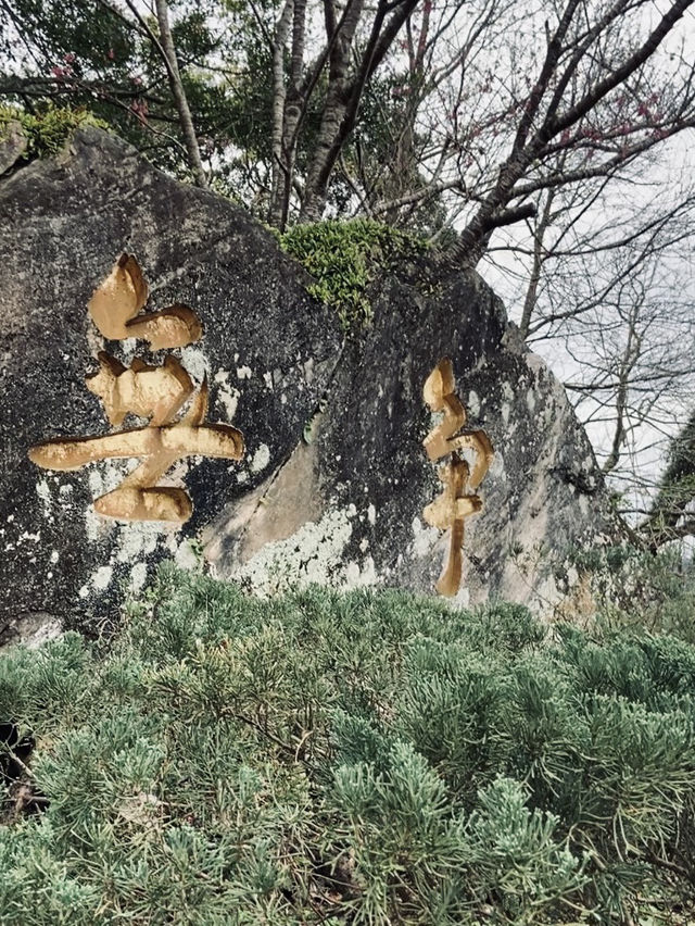 台北｜貓纜指南宮站，敲響祈福鐘