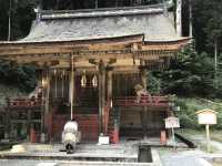 Kyū-Chikurin-in: A Historic Retreat with a Beautiful Garden