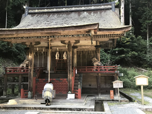 Kyū-Chikurin-in: A Historic Retreat with a Beautiful Garden
