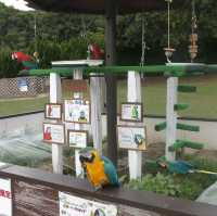 福岡好去處