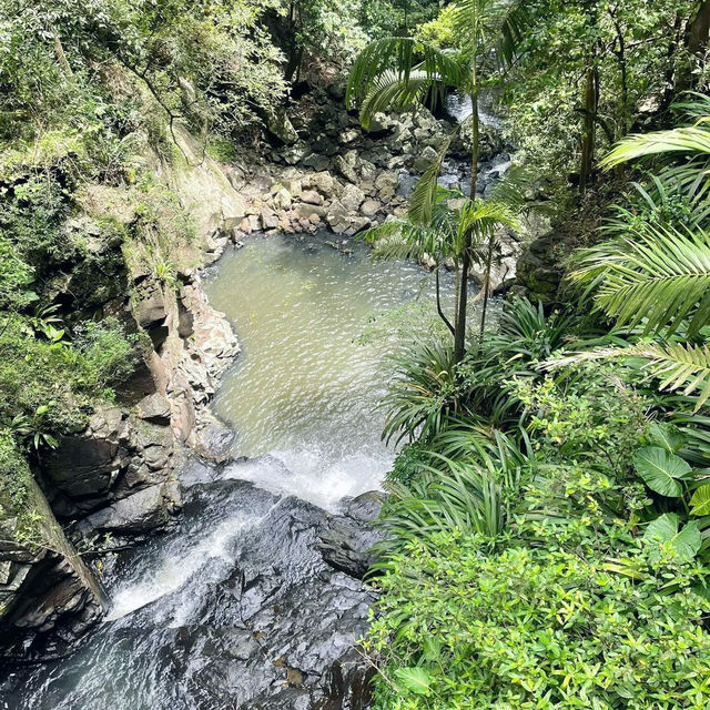 Nature’s Paradise at Springbrook National Park 🇦🇺