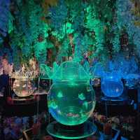【銀座】季節によって変わる！金魚アート体験🐠