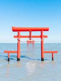 【佐賀】ここ知ってますか？海に浮かぶ幻想的な海中鳥居⛩🌊 