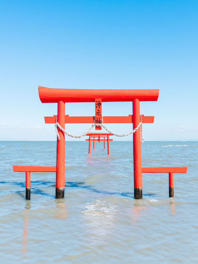 【佐賀】ここ知ってますか？海に浮かぶ幻想的な海中鳥居⛩🌊 