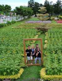 Go to garden in a day 🌻🌼🌺🌾🌷🏵🌸