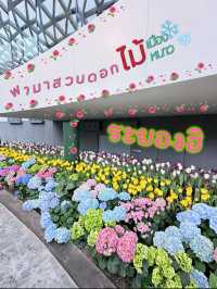 ชมดอกไม้เมืองหนาวที่ ระยองฮิ