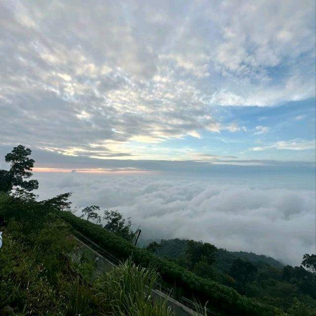 【巴馬國家公園日觀】