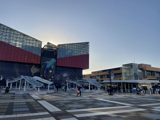 오사카 4일 여행 포토 스팟. 최신 정말 알찬 오사카 가족 여행코스 입니다.