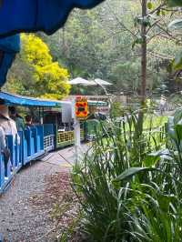Currumbin Wildlife Sanctuary