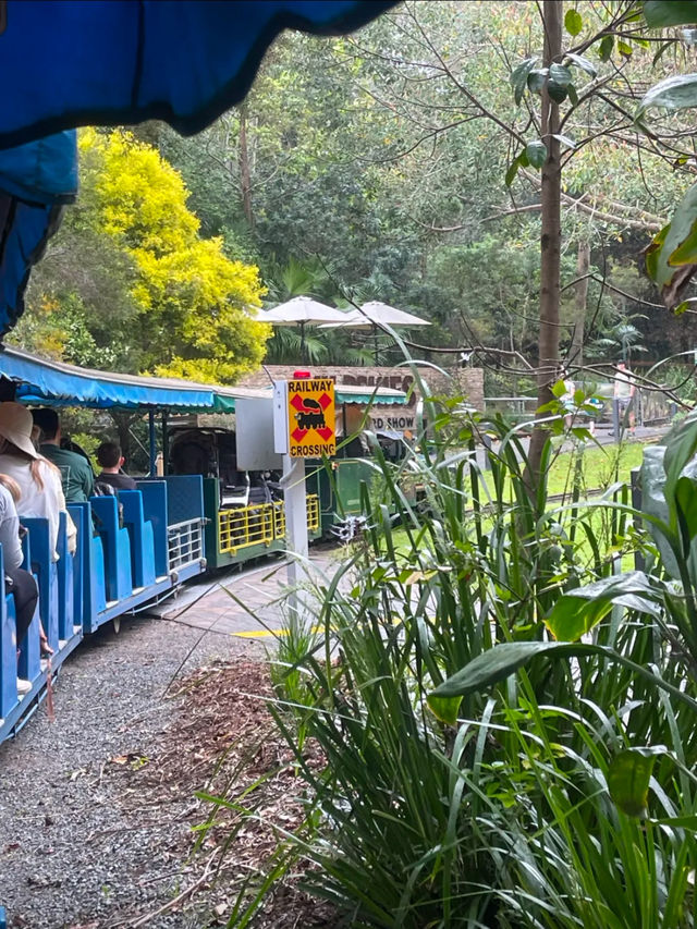 Currumbin Wildlife Sanctuary