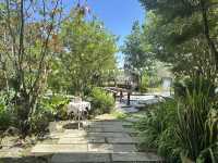 Field cafe ทุ่งหญ้าในป่ายาง