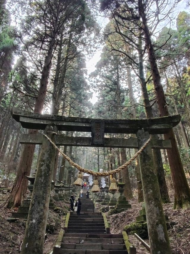 幽靜樹林裡簡樸的上色見熊野座神社