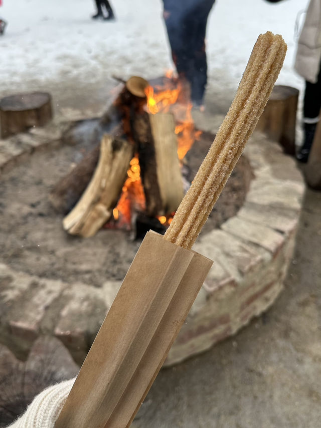 겨울에 가족여행가기 좋은 남이섬☃️