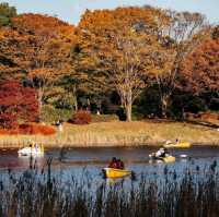 Showa Kinen Park (昭和記念公園)