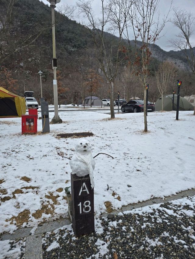 대전에 눈이 내리면 여기 가세요🤍
