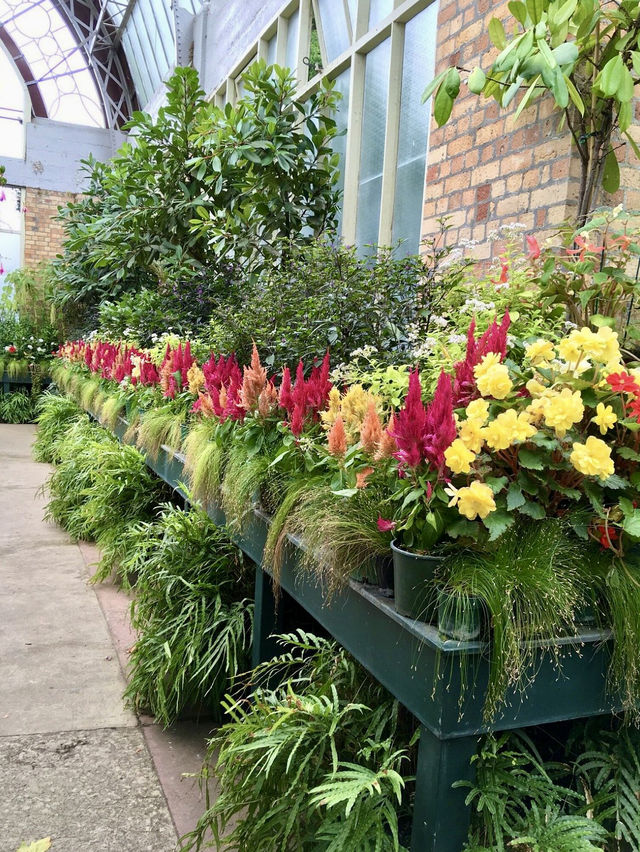 Spring in the City: Auckland Domain